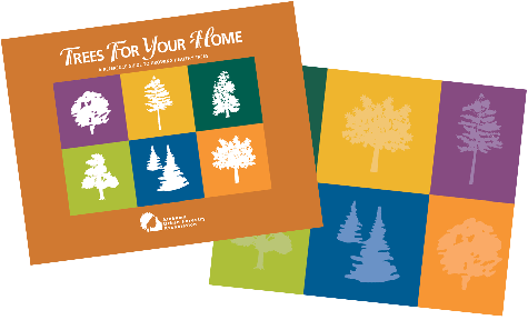 tree brochure cover
