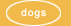 dogs we've loved